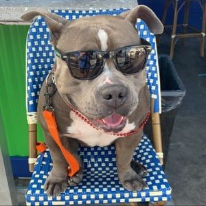 Meet your Posher, Jacob